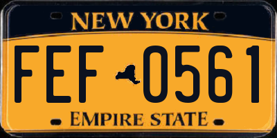 NY license plate FEF0561