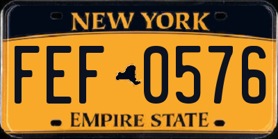 NY license plate FEF0576
