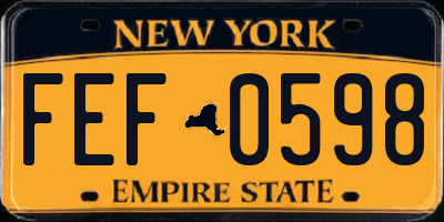 NY license plate FEF0598