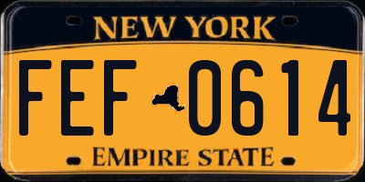 NY license plate FEF0614