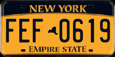 NY license plate FEF0619