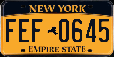 NY license plate FEF0645
