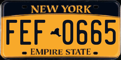 NY license plate FEF0665