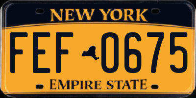 NY license plate FEF0675