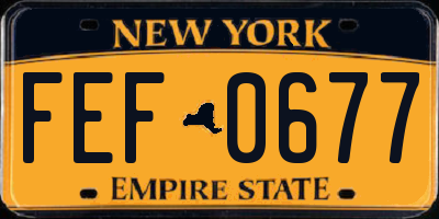 NY license plate FEF0677
