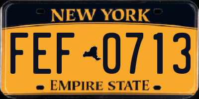 NY license plate FEF0713