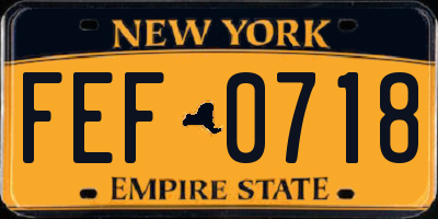 NY license plate FEF0718