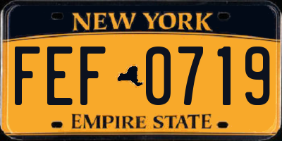 NY license plate FEF0719
