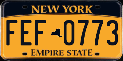NY license plate FEF0773