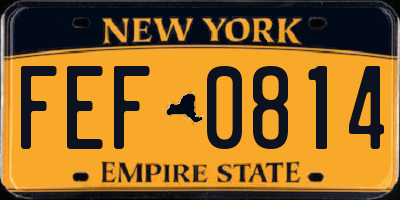 NY license plate FEF0814