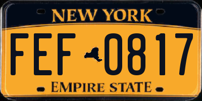 NY license plate FEF0817