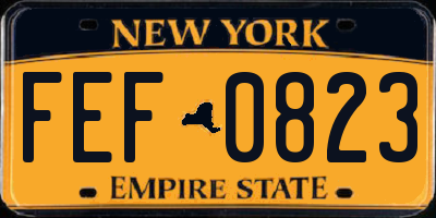 NY license plate FEF0823