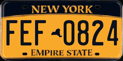 NY license plate FEF0824
