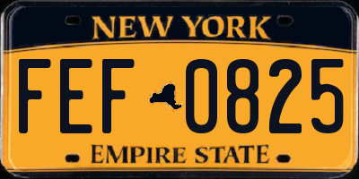 NY license plate FEF0825