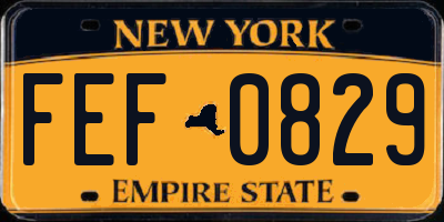NY license plate FEF0829