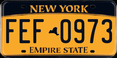 NY license plate FEF0973