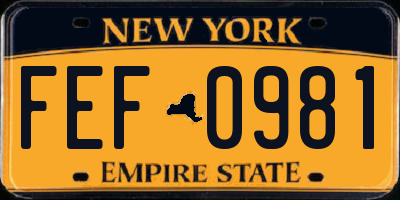 NY license plate FEF0981