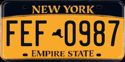 NY license plate FEF0987