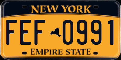 NY license plate FEF0991