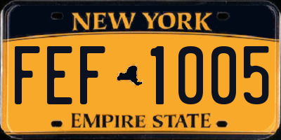 NY license plate FEF1005