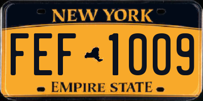 NY license plate FEF1009