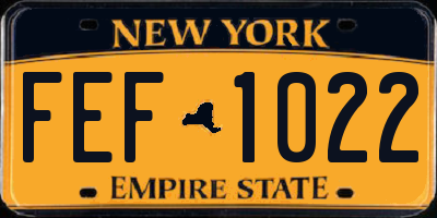 NY license plate FEF1022