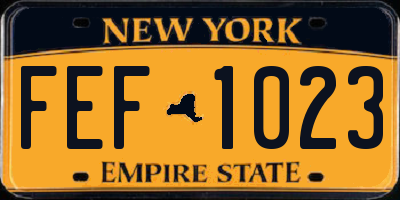 NY license plate FEF1023