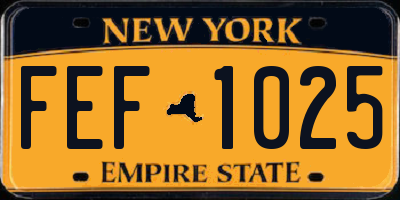 NY license plate FEF1025