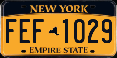 NY license plate FEF1029