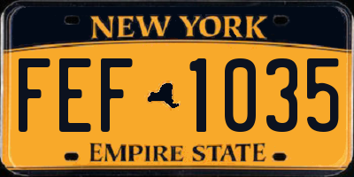 NY license plate FEF1035