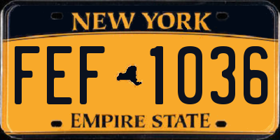 NY license plate FEF1036