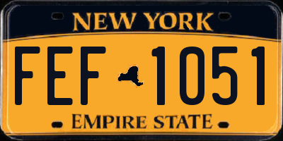NY license plate FEF1051