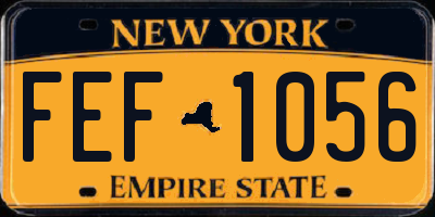 NY license plate FEF1056