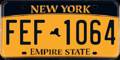NY license plate FEF1064