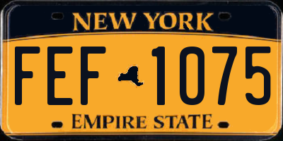 NY license plate FEF1075