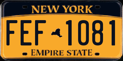 NY license plate FEF1081