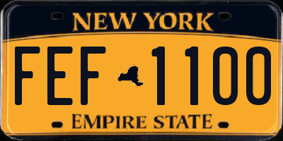 NY license plate FEF1100