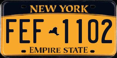 NY license plate FEF1102