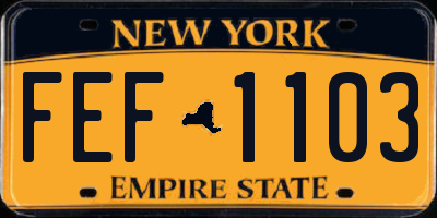 NY license plate FEF1103