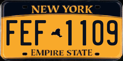 NY license plate FEF1109