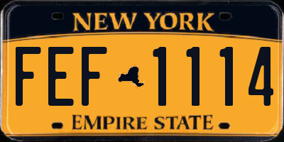 NY license plate FEF1114