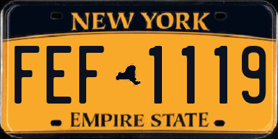 NY license plate FEF1119