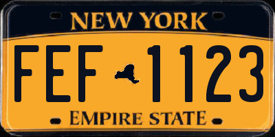 NY license plate FEF1123