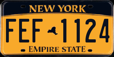 NY license plate FEF1124