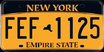 NY license plate FEF1125