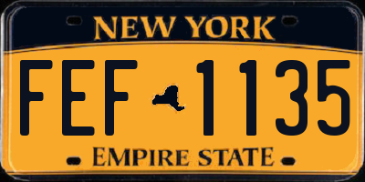 NY license plate FEF1135