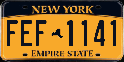 NY license plate FEF1141
