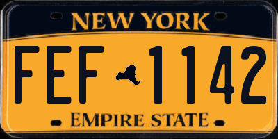 NY license plate FEF1142