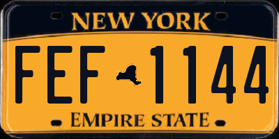 NY license plate FEF1144