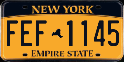 NY license plate FEF1145